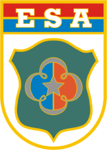 article - Preparatório para Concursos